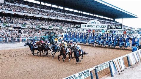 how to bet the belmont stakes